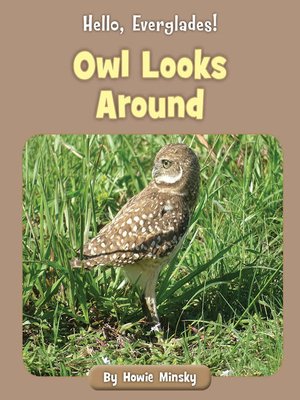 cover image of Owl Looks Around